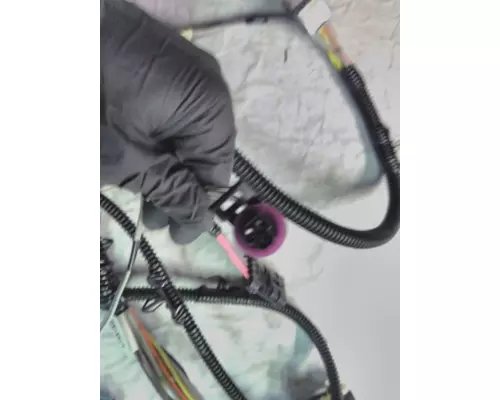 INTERNATIONAL  Wire Harness, Engine