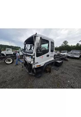 ISUZU FTR Door Assembly, Front