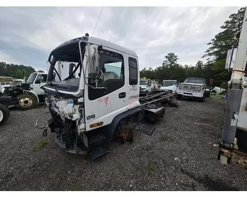 ISUZU FTR Door Assembly, Front