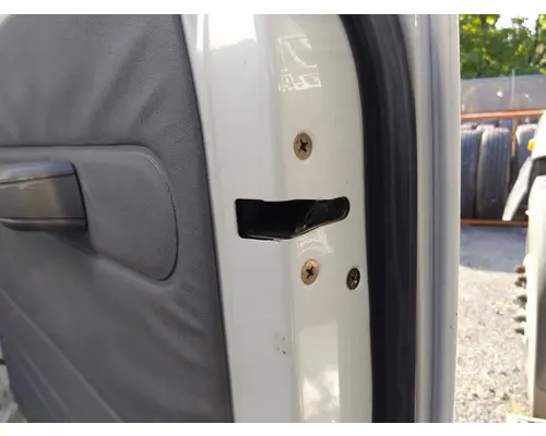 ISUZU NPR HD DOOR ASSEMBLY, REAR OR BACK