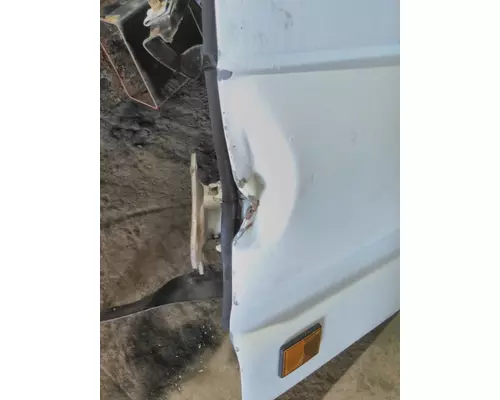 ISUZU NPR DOOR ASSEMBLY, FRONT