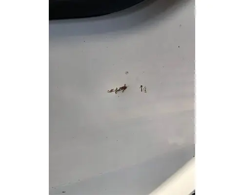 ISUZU NPR Door Assembly, Front