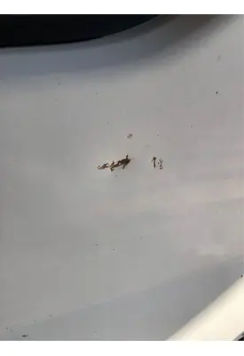 ISUZU NPR Door Assembly, Front