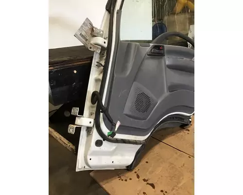 ISUZU NPR Door Assembly