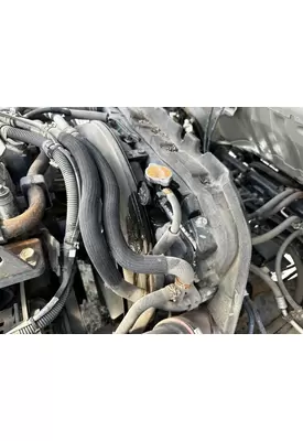 ISUZU NQR Radiator