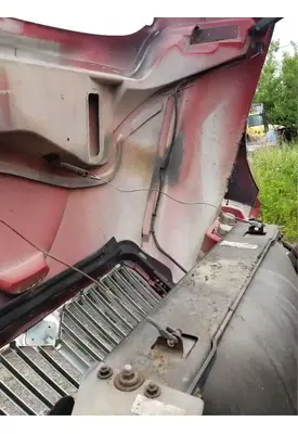 International 4200 Hood