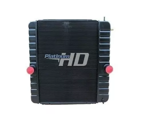 Radiator INTERNATIONAL 4200 LKQ Plunks Truck Parts And Equipment - Jackson