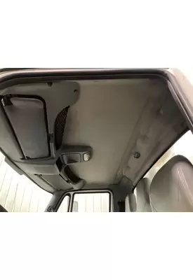 International 4300 Headliner