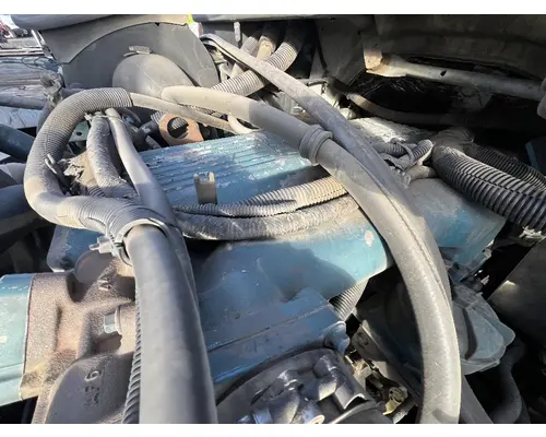 Oil Pump INTERNATIONAL 4300 DTI Trucks