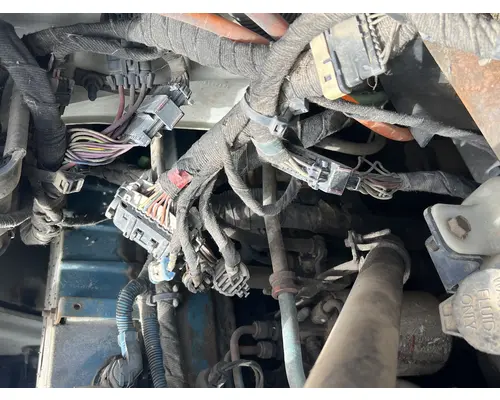 Spindle / Knuckle, Front INTERNATIONAL 4300 DTI Trucks