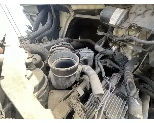 Turbocharger / Supercharger INTERNATIONAL 4300 DTI Trucks