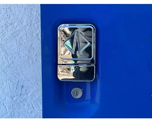International 4900 Door Assembly, Front
