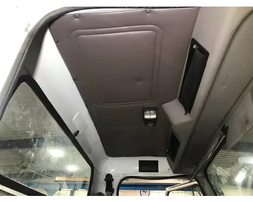 International 4900 Headliner