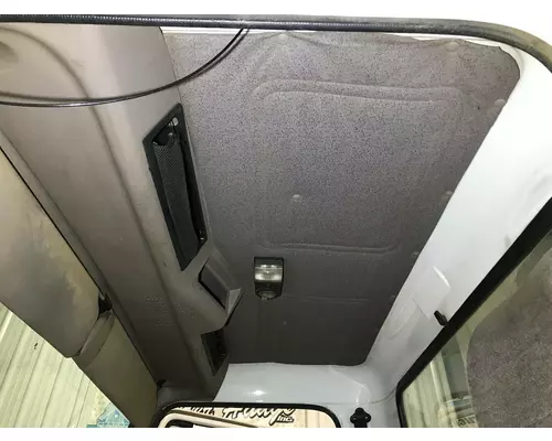 International 4900 Headliner