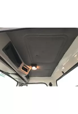 International 4900 Headliner