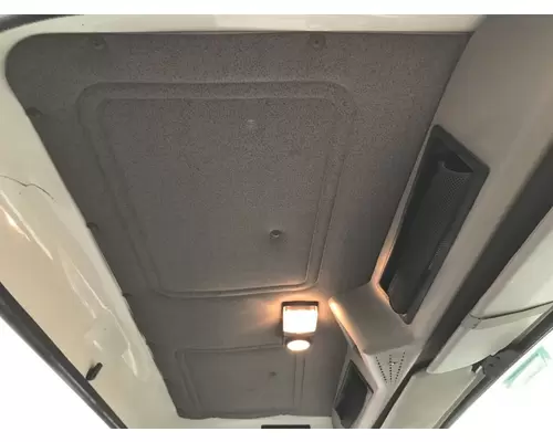 International 4900 Headliner