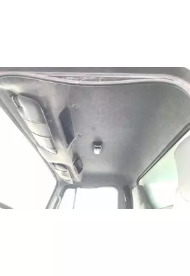 International 4900 Headliner