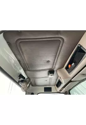 International 4900 Headliner