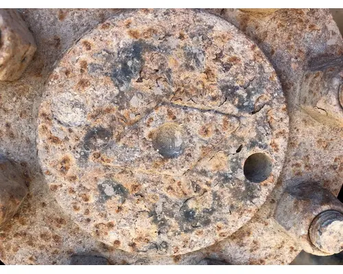 International 571349 Axle Shaft