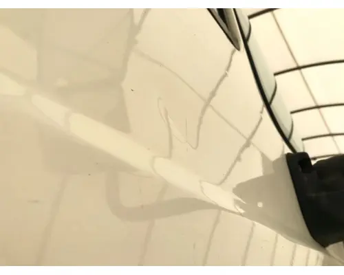 International 8600 Door Assembly, Front