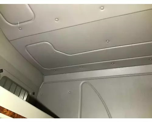 International 9200 Headliner