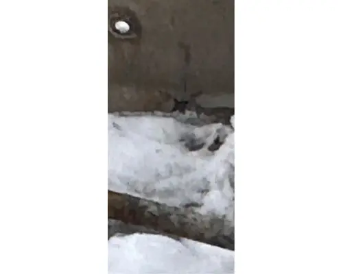 International 9400I Bumper Assembly, Front