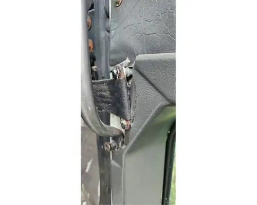 International 9400 Door Assembly, Front