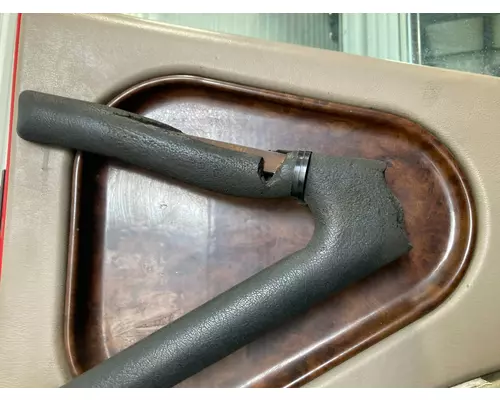 International 9900 Door Assembly, Front