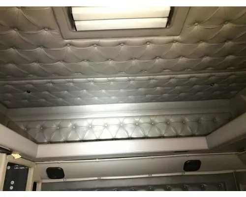 International 9900 Headliner