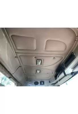 International 9900 Headliner