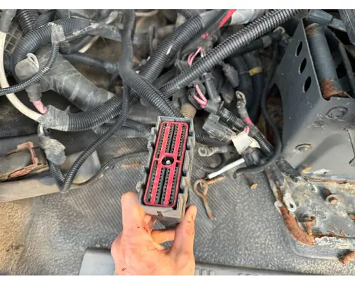 International DURASTAR (4300) Cab Wiring Harness
