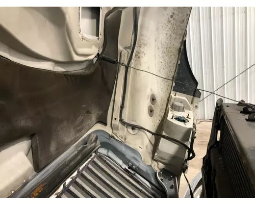 International DURASTAR (4300) Hood