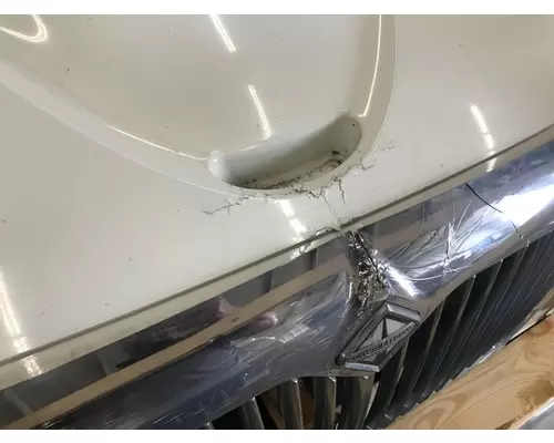 International DURASTAR (4400) Hood