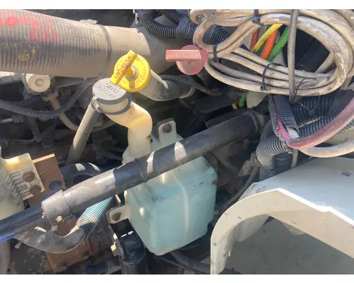 Body Parts, Misc. INTERNATIONAL Durastar Vander Haags Inc Kc