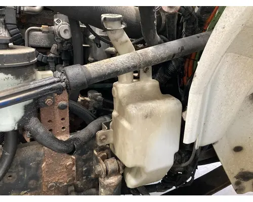 Body Parts, Misc. INTERNATIONAL Durastar Vander Haags Inc Col