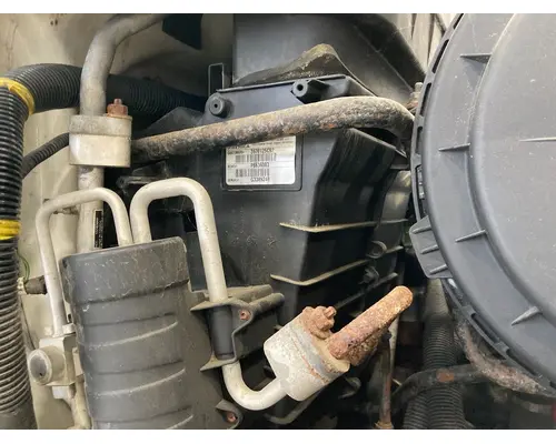 Body Parts, Misc. INTERNATIONAL Durastar Vander Haags Inc Col