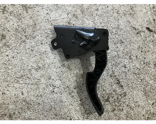 Body Parts, Misc. INTERNATIONAL Durastar Vander Haags Inc Col