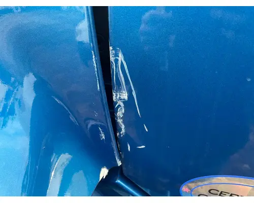 Door Assembly, Front INTERNATIONAL LT625 Camerota Truck Parts