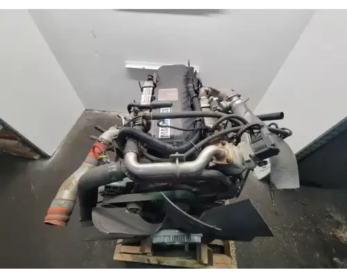 International MAXXFORCE DT466 Engine Assembly