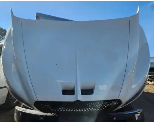 International MV607 Hood