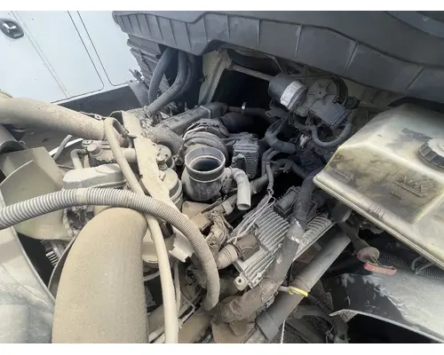 Fuel Pump (Injection) INTERNATIONAL MaxxForce 7 DTI Trucks