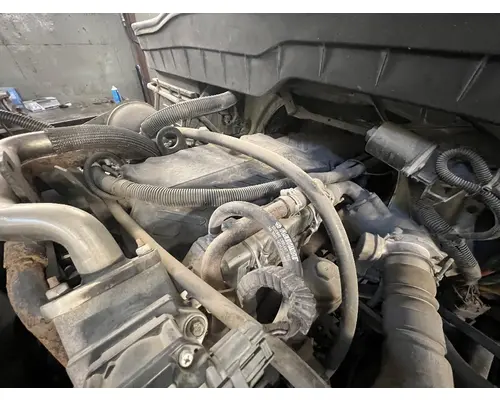 Fuel Pump (Injection) INTERNATIONAL Maxxforce DT DTI Trucks