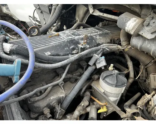 Harmonic Balancer INTERNATIONAL Maxxforce DT DTI Trucks