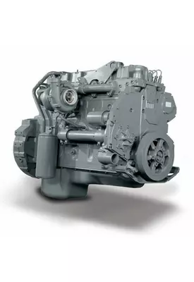 International NGD 466 Engine Assembly