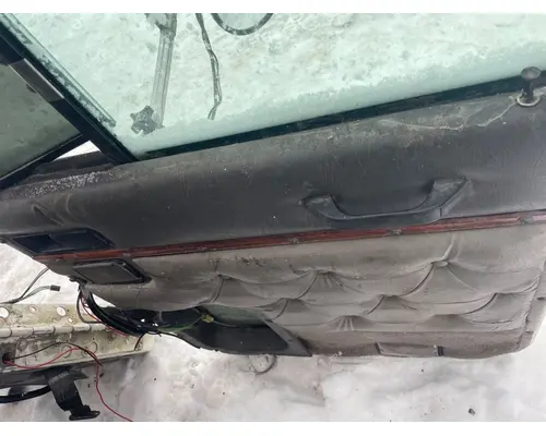 International PAYSTAR Door Assembly, Front