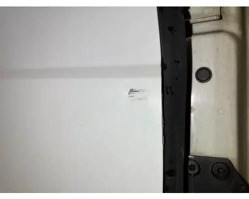 International PROSTAR Door Assembly, Front