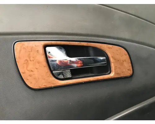 International PROSTAR Door Assembly, Front