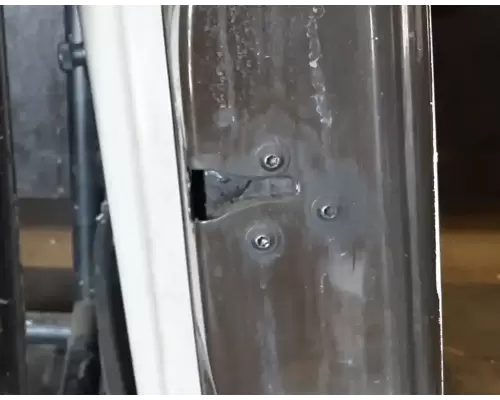 International PROSTAR Door Assembly, Front