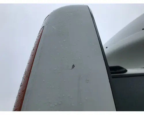 International PROSTAR Door Mirror