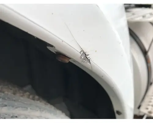 International PROSTAR Fender